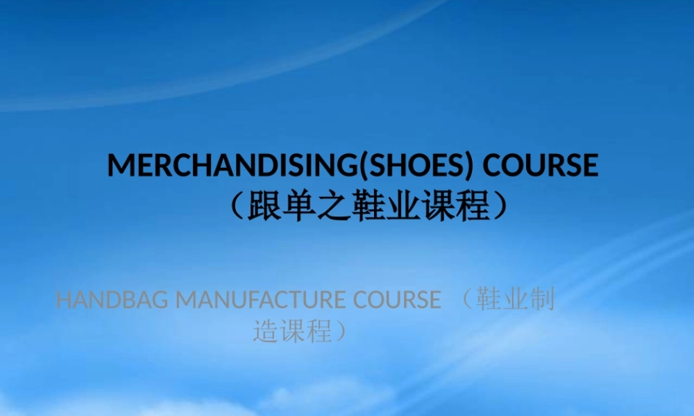 女鞋制作流程SHOESCOURSE19-19