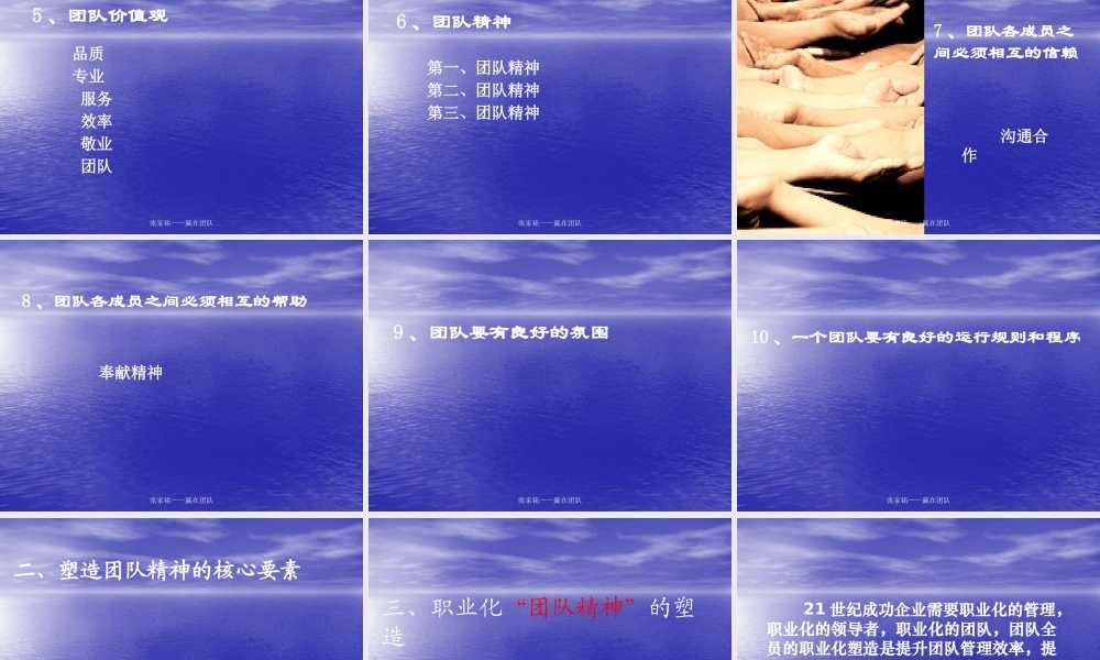 塑造团队精神的基本要点分析