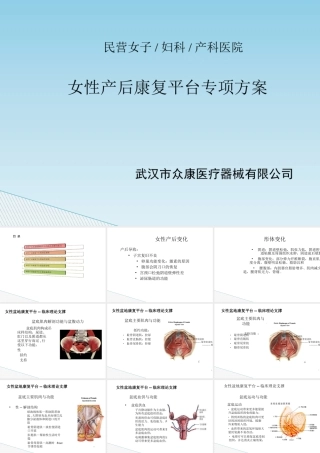 女性产后康复平台专项策划方案
