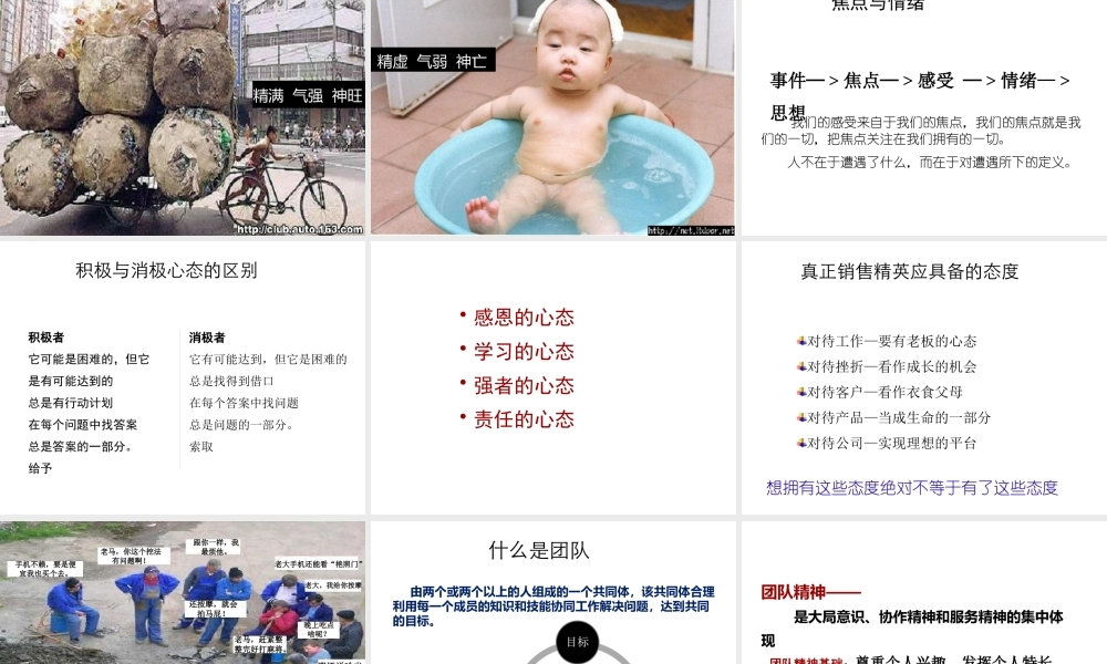 塑造团队凝聚力打造高绩效团队课件