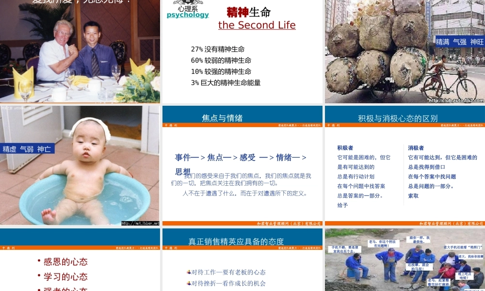 塑造团队凝聚力之打造高绩效团队(PPT 43页)3