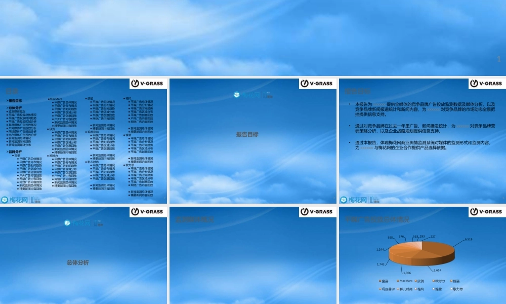 女装广告监测年度报告