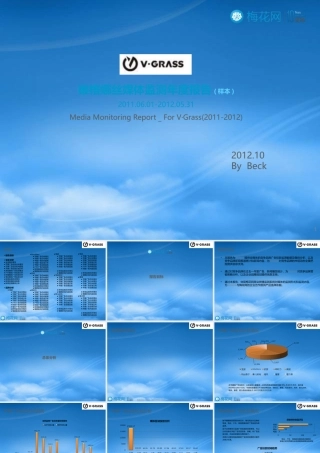 女装广告监测年度报告