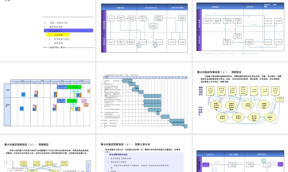 培训_63李宁管控模式之三管控流程(PPT52页)