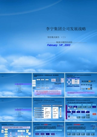 培训_63李宁管控模式之三管控流程