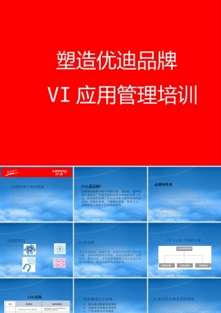 塑造优迪品牌VI应用管理1