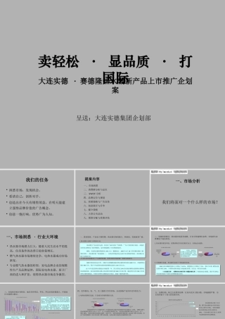 大连实德赛德隆热水器新产品上市推广企划案.