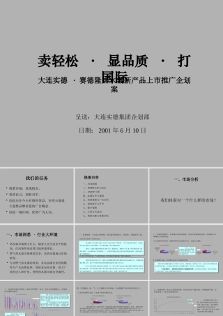 大连实德赛德隆热水器新产品上市推广企划案