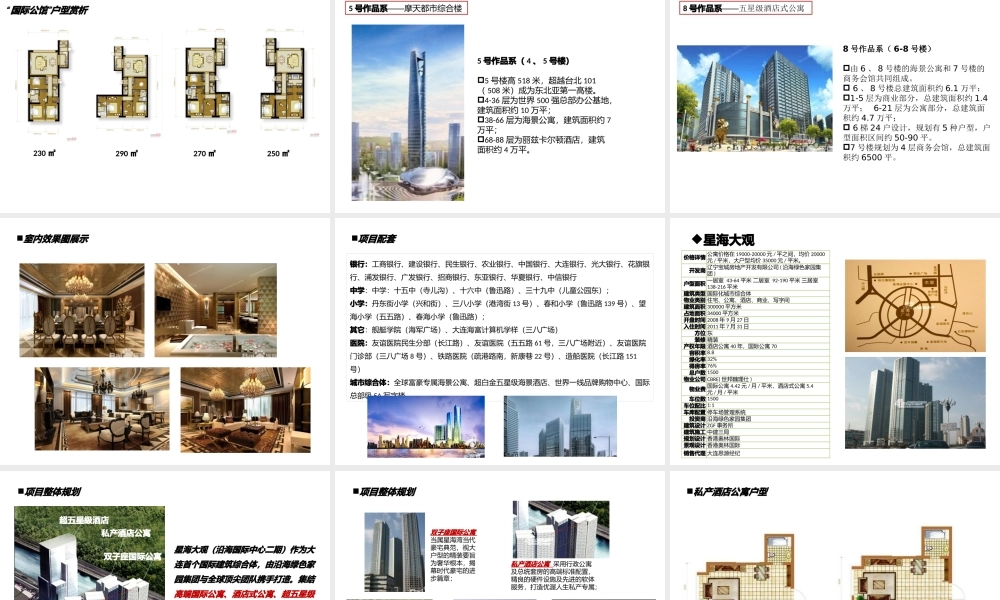 大连市内40年产权大面积项目规划整理XXXX02