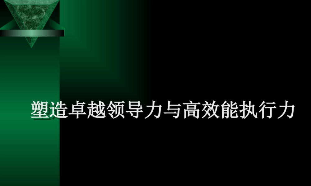 塑造卓越领导力和高效能执行力