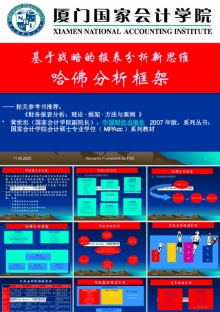 基于战略的报表分析新思维哈佛分析框架探讨