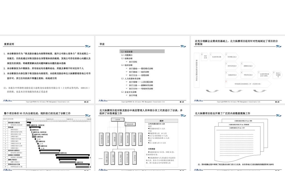 大连铁龙-报告1-内部管理诊断报告
