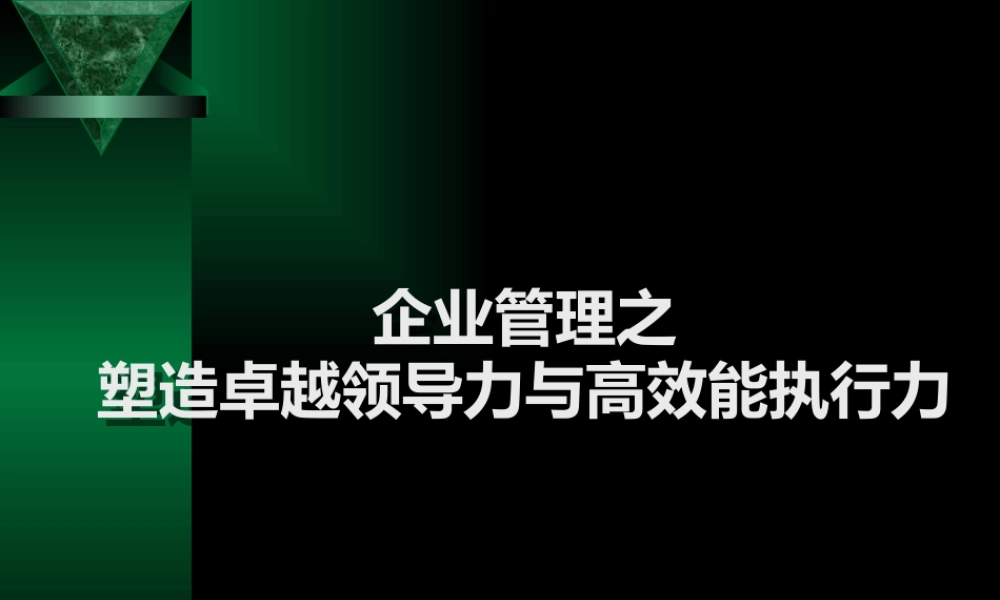 塑造卓越领导力与高效能执行力(PPT 66页)