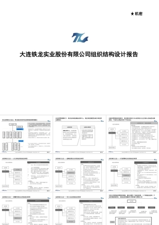 大连铁龙实业股份有限公司组织结构设计报告