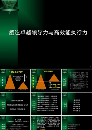 塑造卓越领导力与高效能执行力(PPT 153页)3