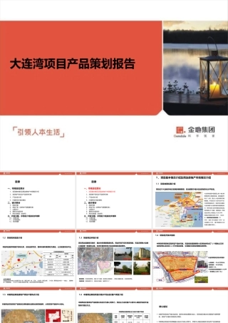 大连湾金地艺境项目产品策划报告