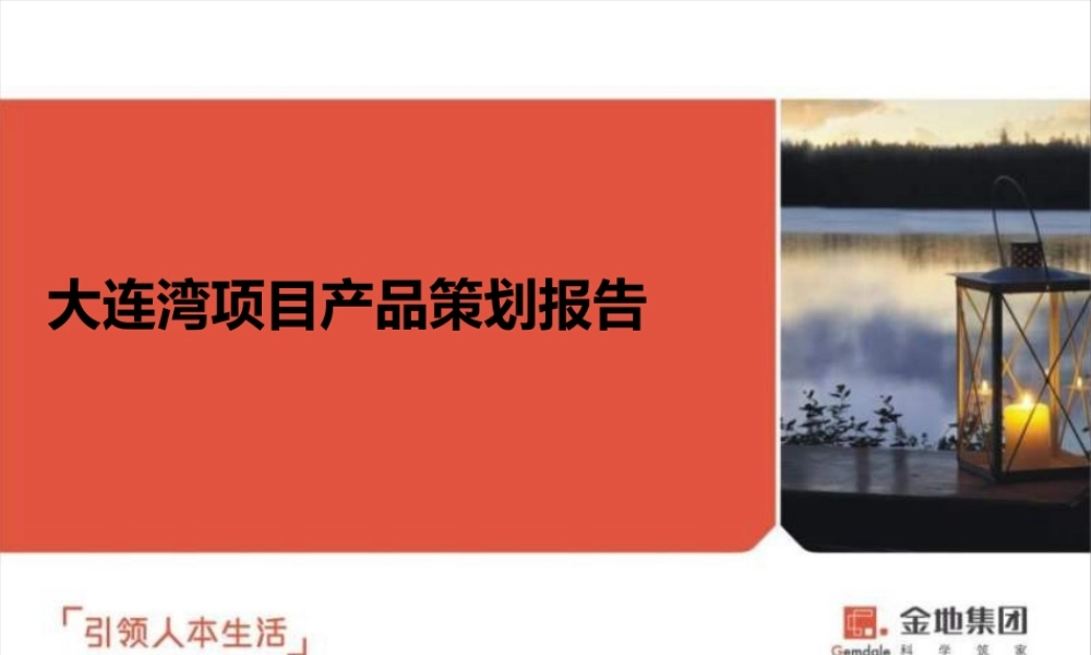 大连湾项目产品策划报告