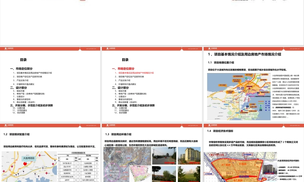 大连湾项目产品策划报告