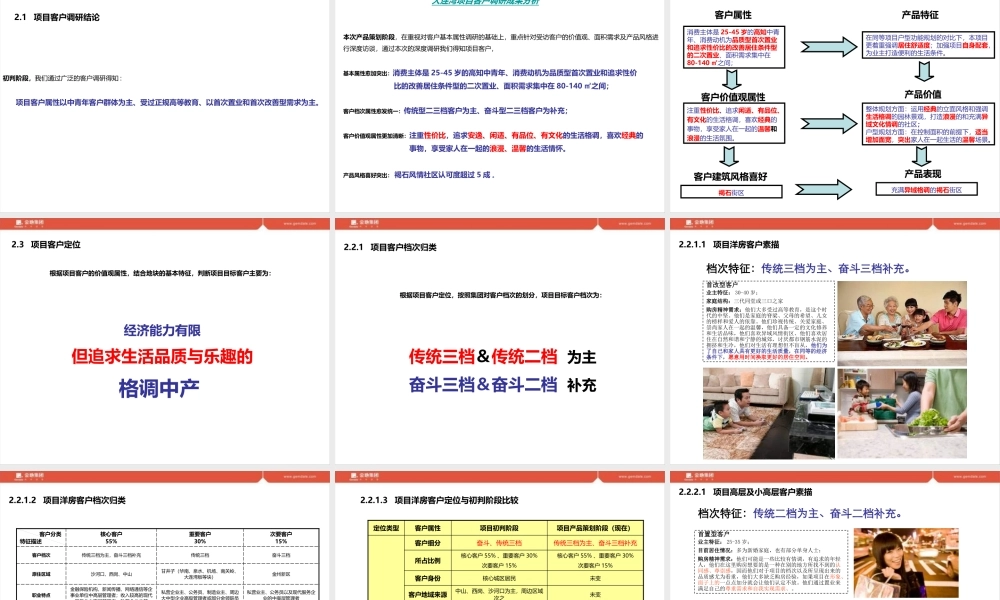大连湾项目产品策划报告
