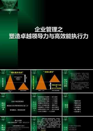 塑造卓越领导力与高效能执行力-152页