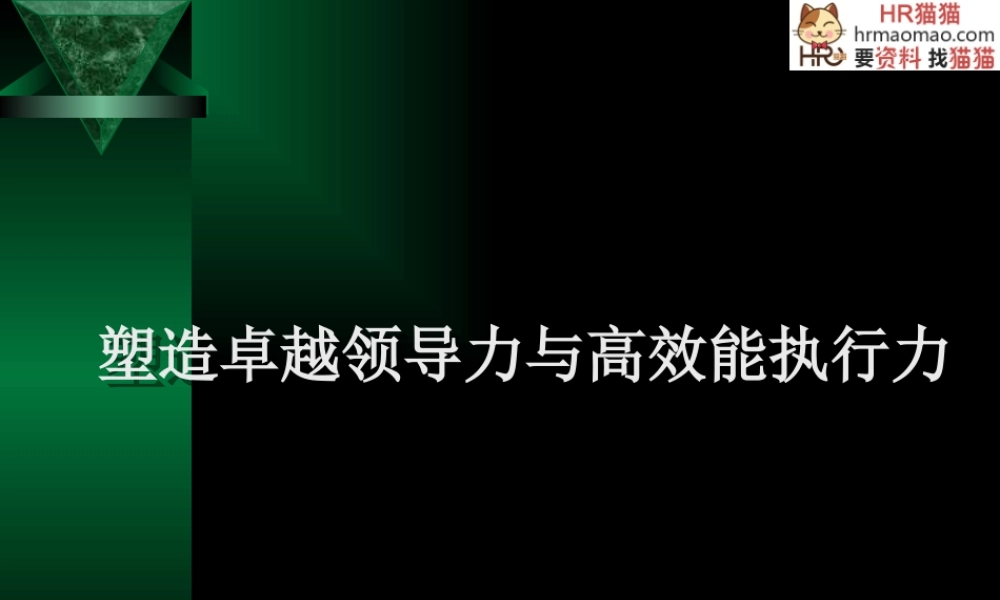 塑造卓越领导力与高效能执行力-HR猫猫