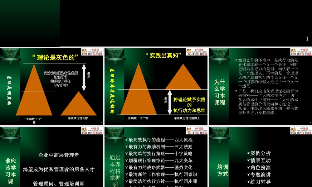 塑造卓越领导力与高效能执行力-HR猫猫