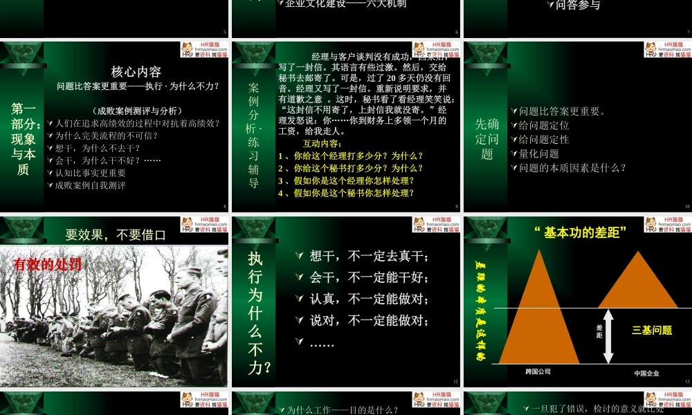 塑造卓越领导力与高效能执行力-HR猫猫