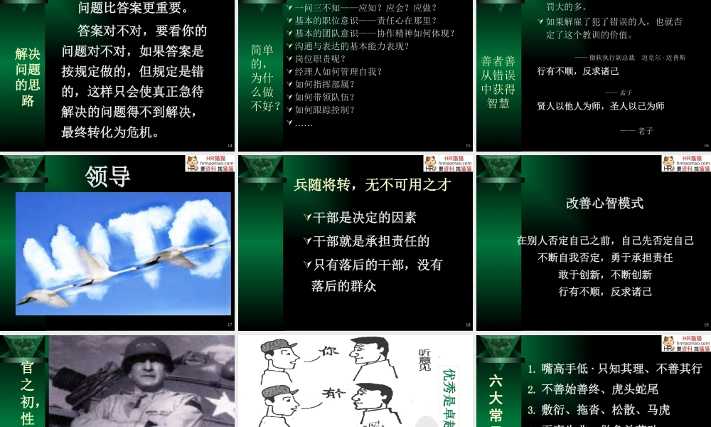 塑造卓越领导力与高效能执行力-HR猫猫