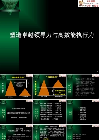 塑造卓越领导力与高效能执行力-HR猫猫