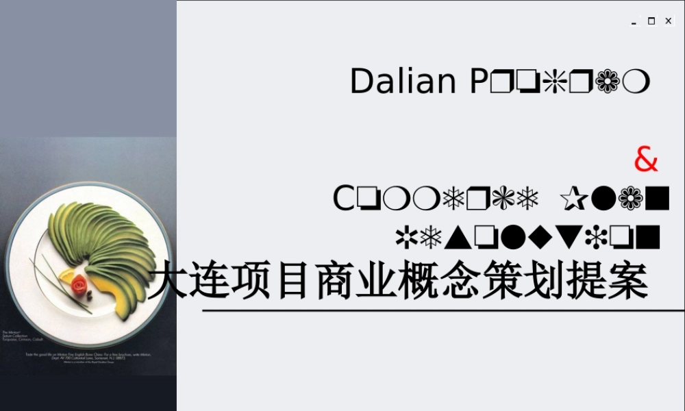 大连项目商业概念策划提案
