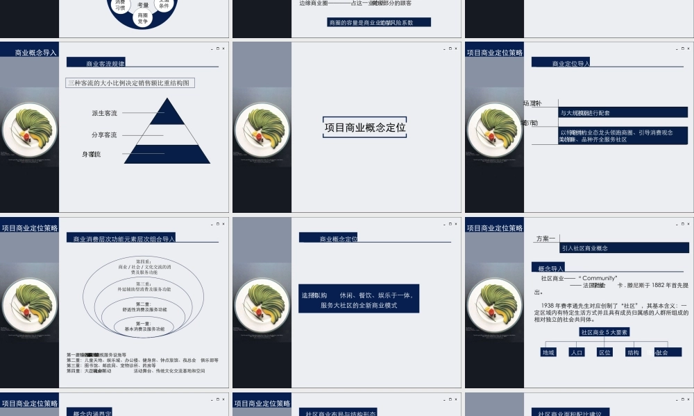 大连项目商业概念策划提案