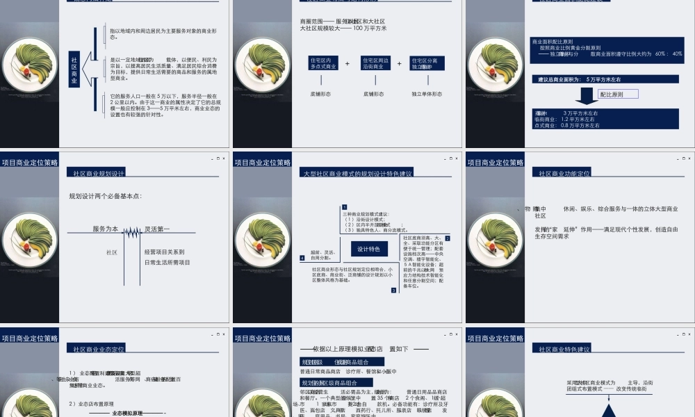 大连项目商业概念策划提案