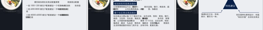 大连项目商业概念策划提案