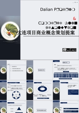 大连项目商业概念策划提案