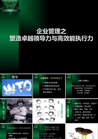 塑造卓越领导力与高效能执行力-经典版