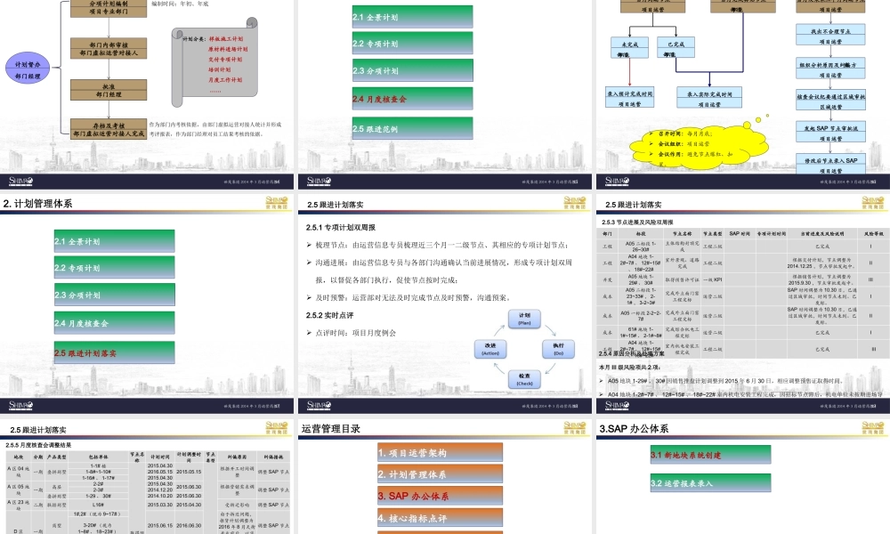 大连项目运营管理体系策划V10(1127终稿)