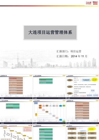 大连项目运营管理体系策划V10(1127终稿)