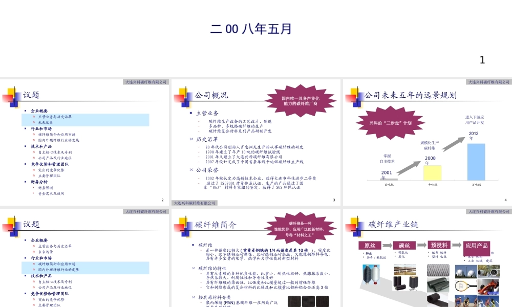大连兴科碳纤维有限公司_商业计划书