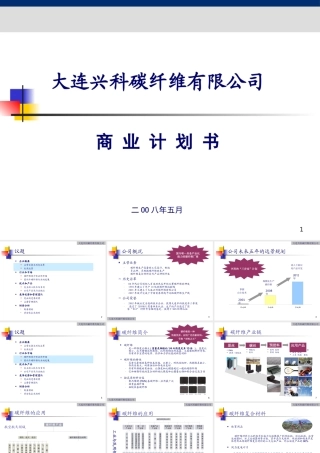 大连兴科碳纤维有限公司_商业计划书