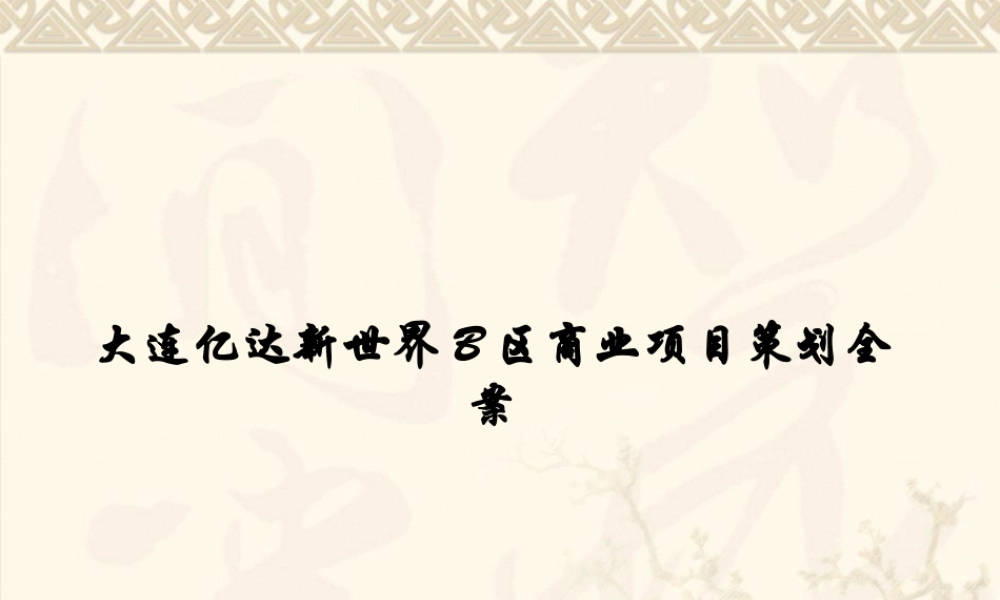 大连亿达新世界B区商业项目策划全案