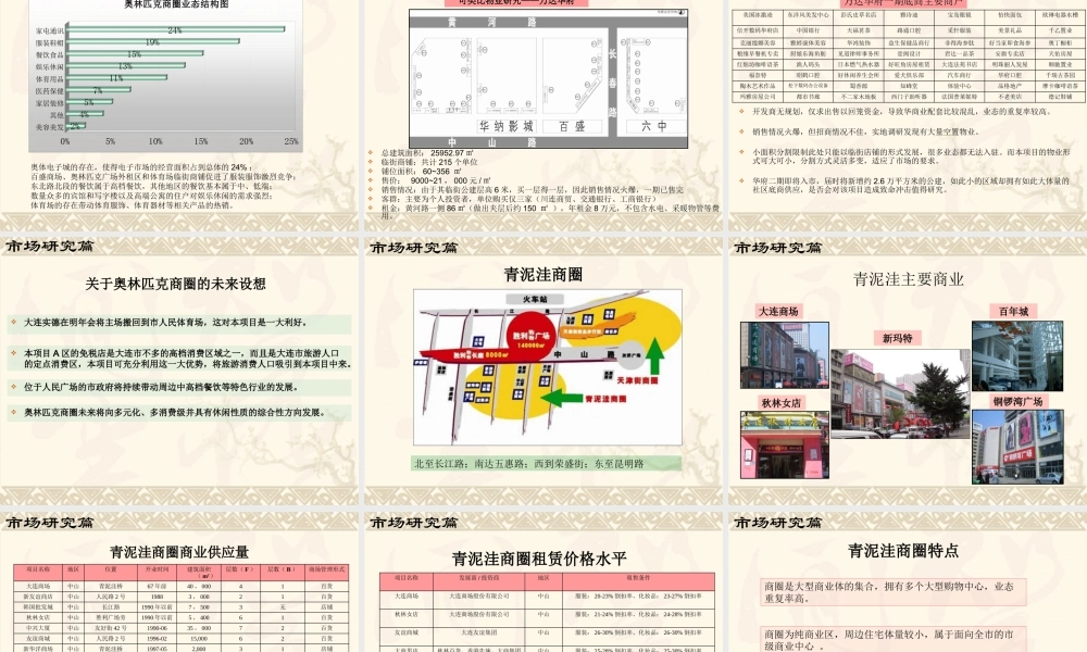 大连亿达新世界B区商业项目策划全案
