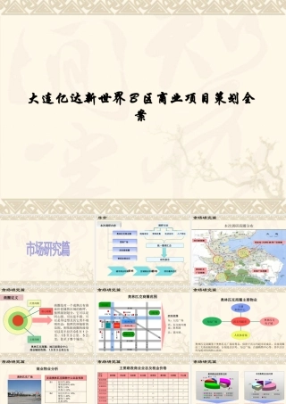 大连亿达新世界B区商业项目策划全案