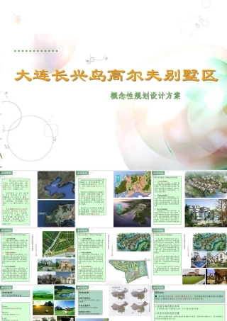 大连长兴岛低密度别墅区项目概念性规划设计方案_38p_前