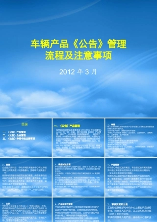培训讲稿(公告流程)0323
