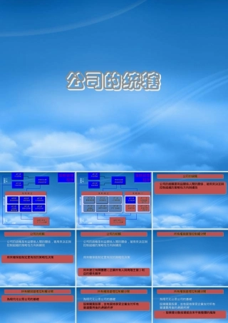 培训讲义：XXXX年公司的统辖管理(ppt 59) 