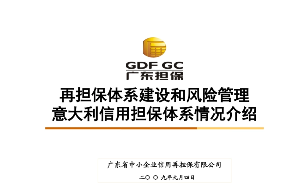 孙宛青再担保体系风险管理和意大利信用担保体系情况介绍-幻