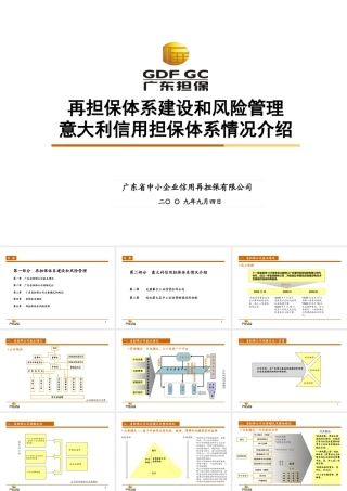 孙宛青再担保体系风险管理和意大利信用担保体系情况介绍-幻