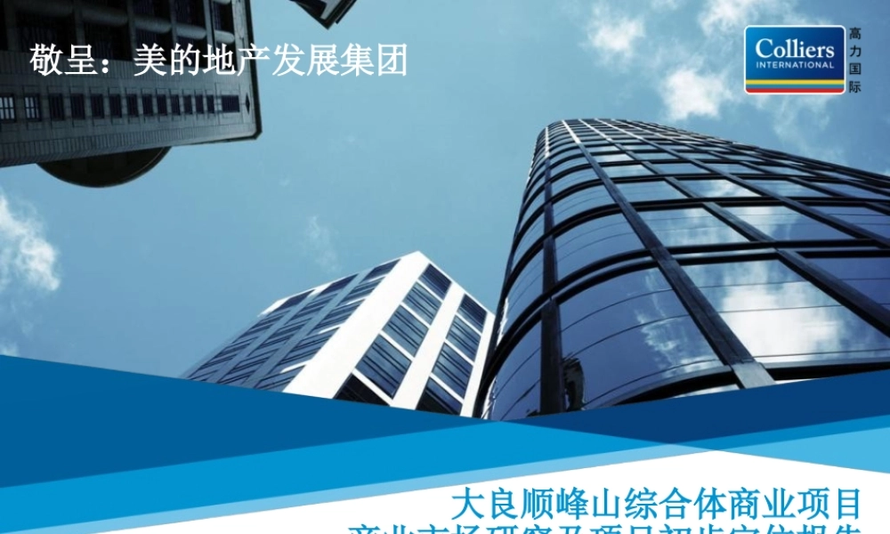 大良顺峰山综合体商业项目商业市场研究及项目初步定位