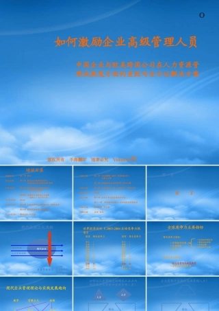 培训讲义：如何激励企业高级管理人员