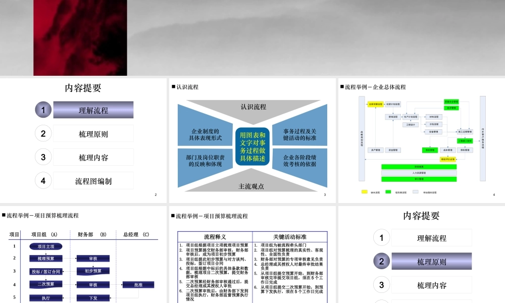 大陆集团流程梳理培训